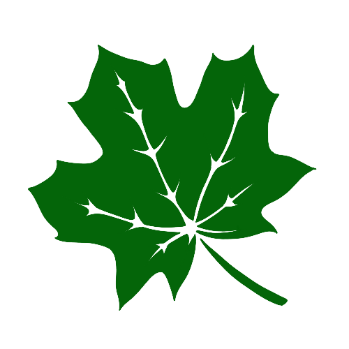 The symbol of the Mental Archetype: A green leaf.